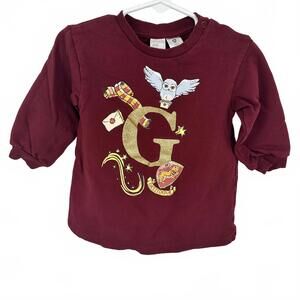 H&M Harry Potter Baby Girl 12M Long Sleeve Graphic Dress Gryffindor Hedwig